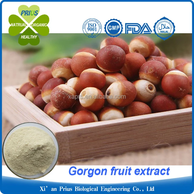 natural plant semen euryales extract gorgon fruit extract