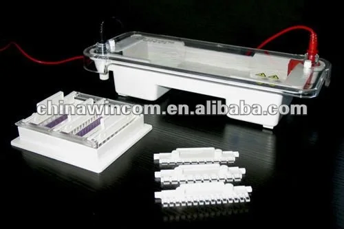 10 15 comb wells HORIZONTAL CELL JY-SPBT Electrophoresis