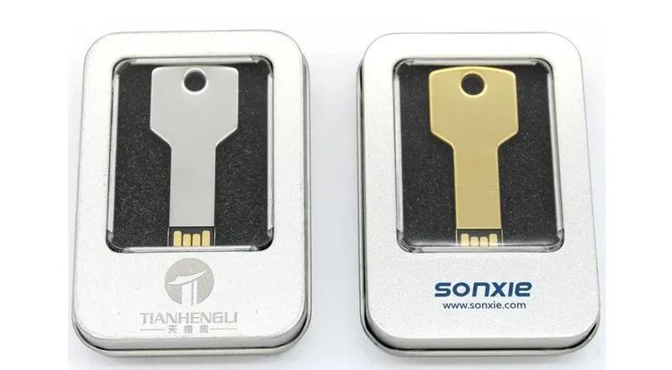 2018 new hot business gift key shape customized logo 1gb 4gb 8gb 16gb 64gb memory USB flash pendrive - ANKUX.COM