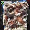 Giant Squid Neck Squid meat Proceing Seafood
