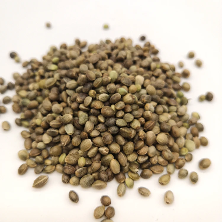hemp seed (11).jpg
