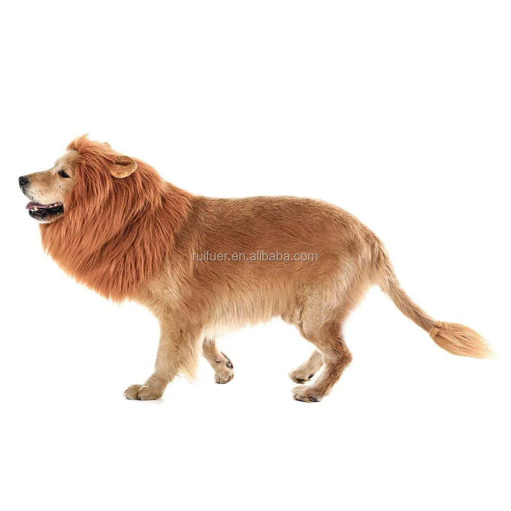 リアルで面白い犬のライオンのたてがみ 犬のコスチュームのための補完的なライオンのたてがみ 中型から大型の犬のためのライオンウィッグ Buy ライオンのたてがみウィッグ犬 現実的なと面白い髪パーティーフェスティバルペットハロウィンアクセサリーペット犬ライオン