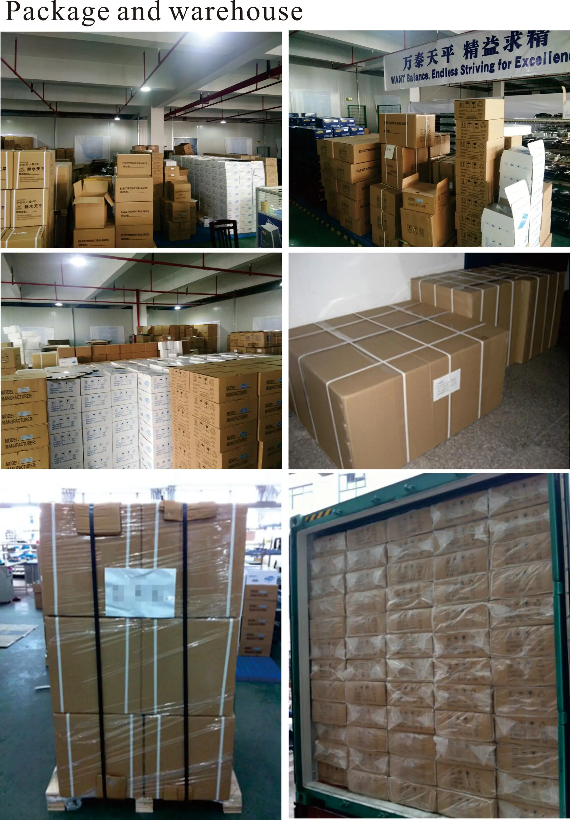 digital balance package.jpg