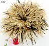 6-8 inch(15-20 cm) Silver Saddle Rooster Feather Strung