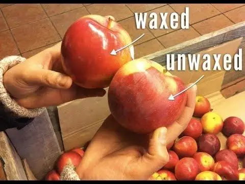 carnauba wax (30).jpg