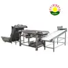 Video-Professional full automatic bean sprout washing machine, Bean sprouts cleaning machine