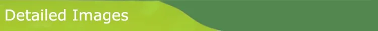 Detailed Images.jpg