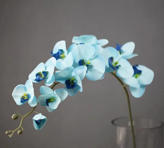 11 Heads Artificial Blue Silk Phalaenopsis Orchids For Wedding Decor