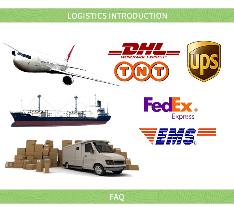 LOGISTIC.jpg