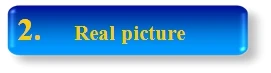 Real picture.jpg
