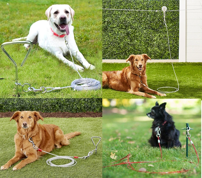 Adjustable Tieout Outdoor Steel Wire Two Hook Tie Out Cable Leash For Dog Buy Cable Leash For