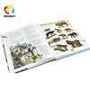 Children board book point reading book sound book dictionary