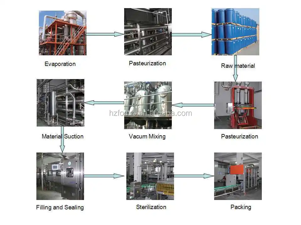 Specification Fresh Tomato,Bulk Tomato Paste Buy Specification Tomato