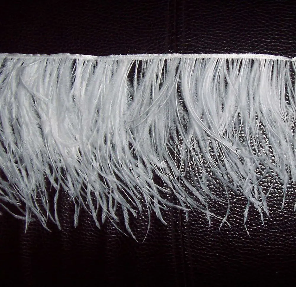 ostrich fringe