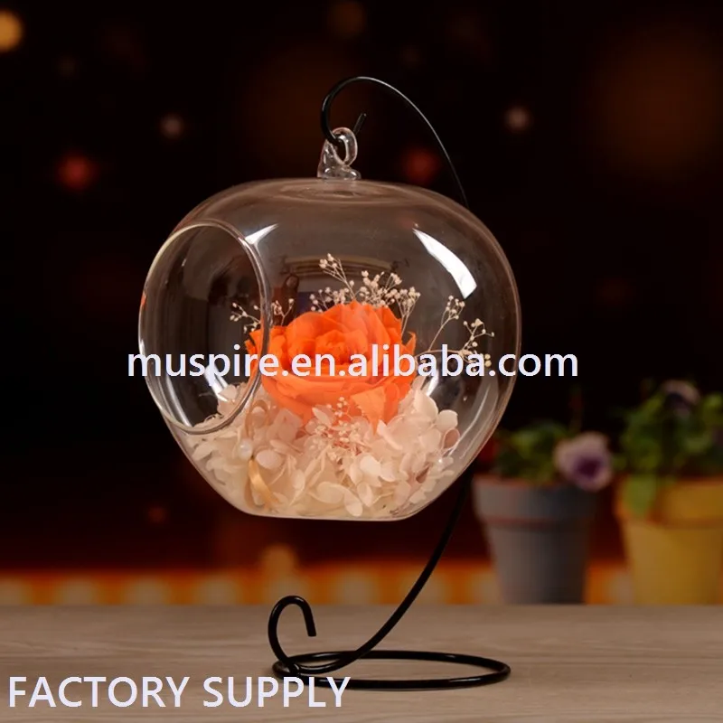 Apple Glass Vase (1)
