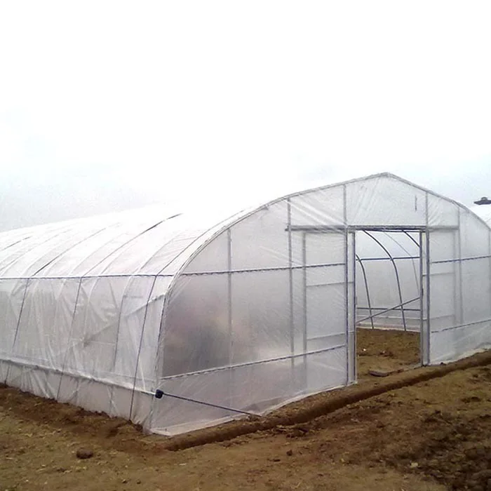 greenhouse 2.JPG