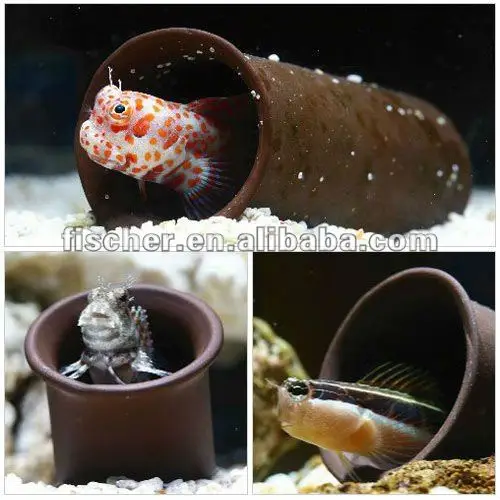 Aquarium Fish Tank Cichlid Plecos Shrimp Shelter Tube