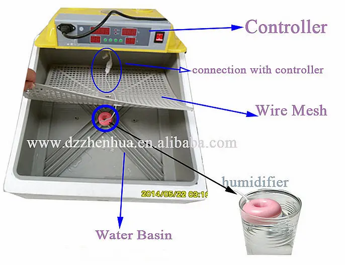 Automatic Humidity Control 48 Eggs Mini Incubator/chicken Egg Incubator ...