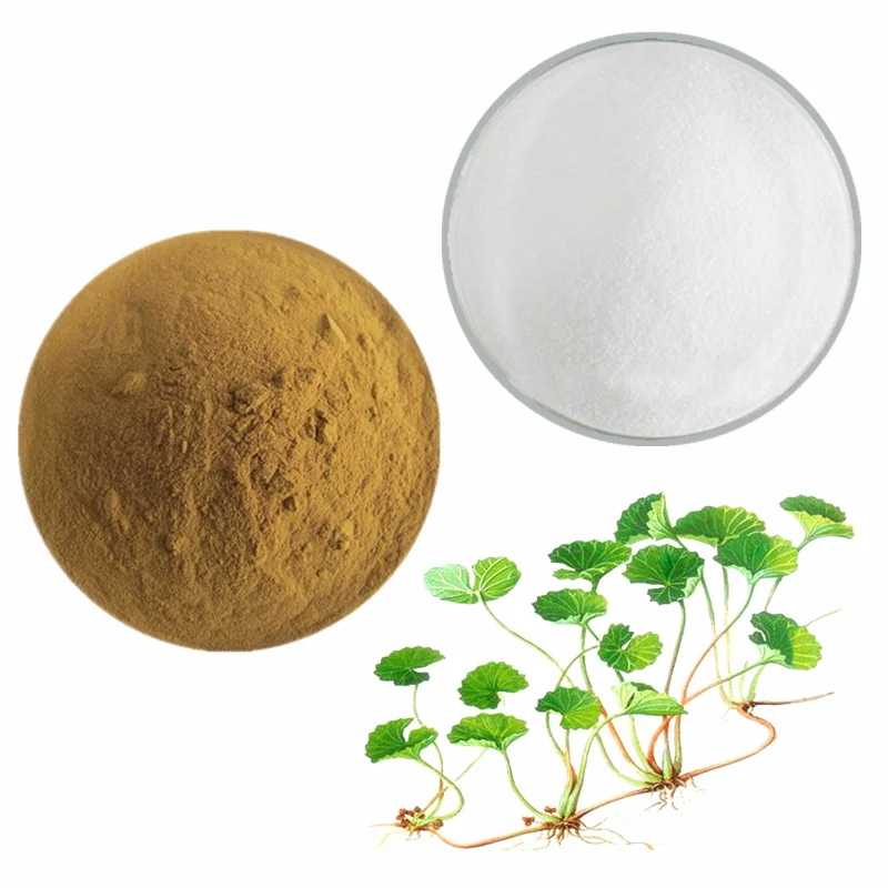 Centella Asiatica Extract Powder Centella Asiatica Extract Powder