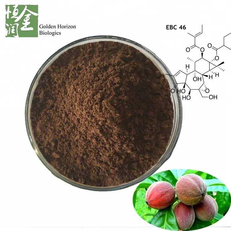 EBC 46 Blushwood Berry Seed Hylandia Extract powder ORGANIC 500 grams