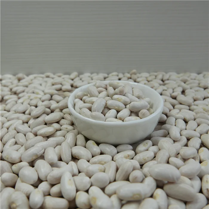 New white kidney bean in 2020 season for food