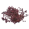 new style arrival spina date seed Chinese herbal medicine