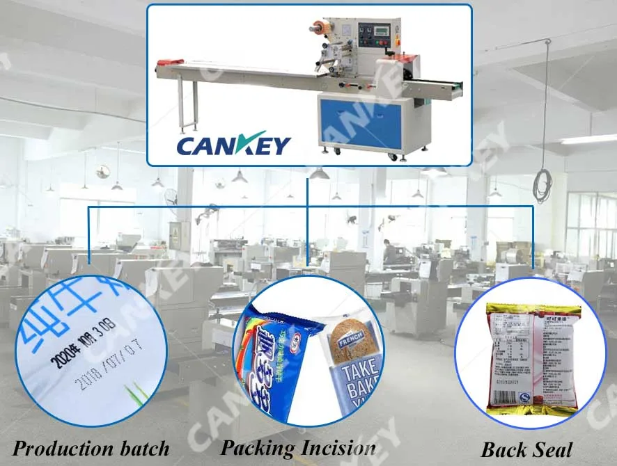 Ckzs320 Automatic Pillow Packaging Incense Stick Packing Machine In Sri