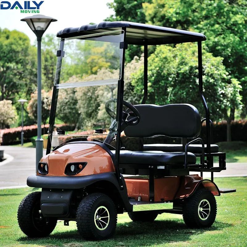 Cheap One Person 4 Seater Electric Pick Up Car Personal Transport