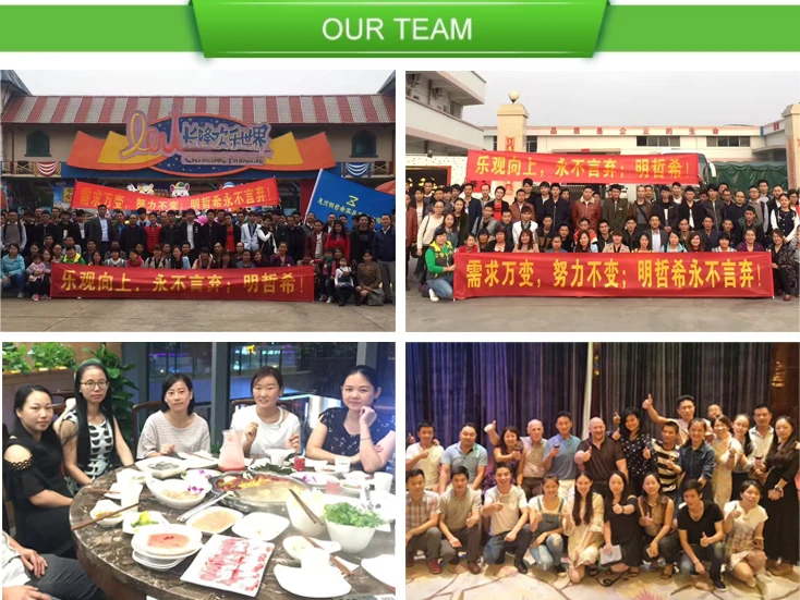 our team