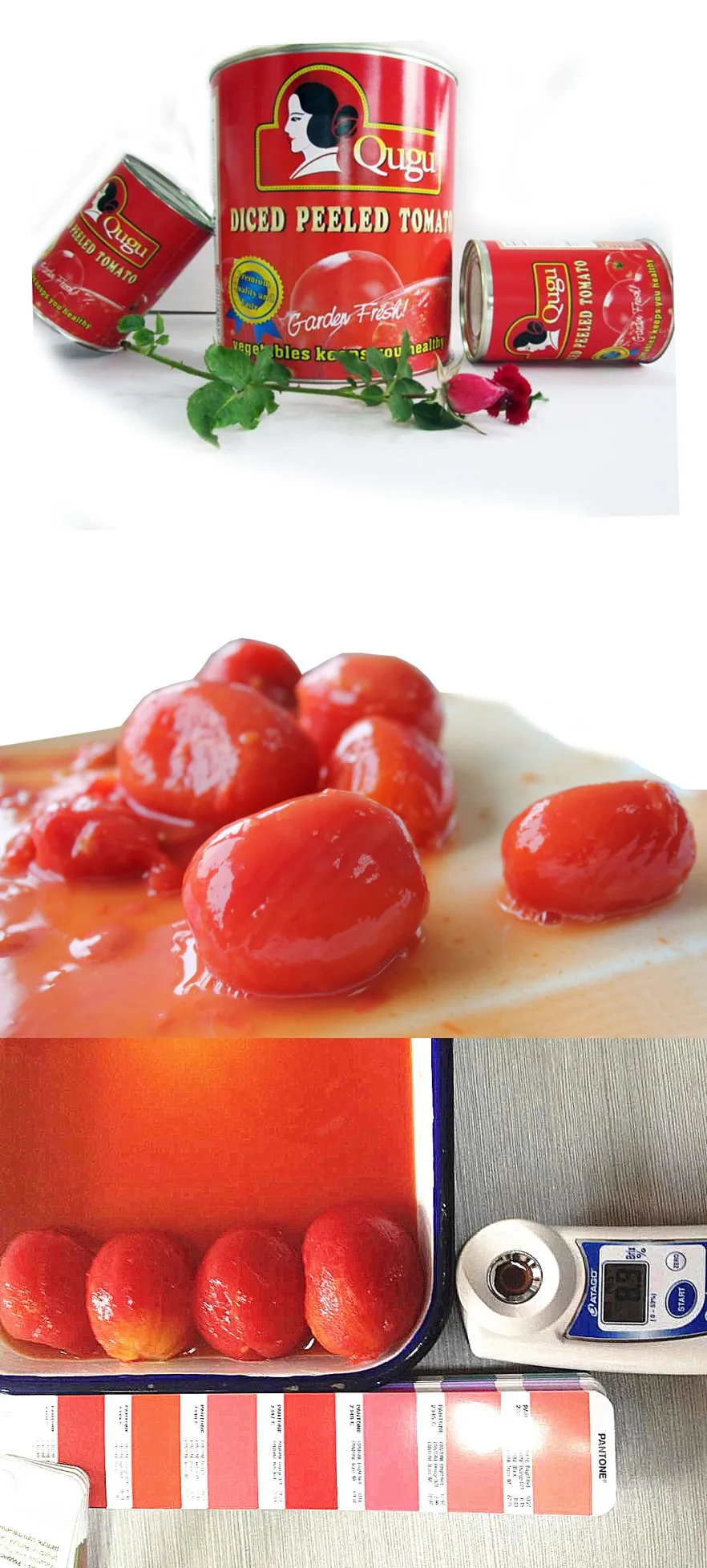 全去皮西红柿罐头 buy 全去皮番茄,去皮番茄,罐装番茄 product on