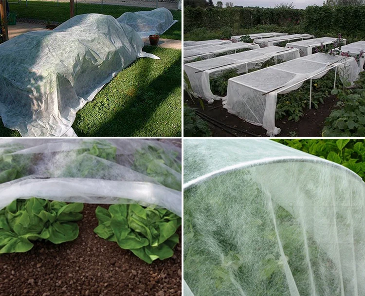 Agricultural Plant Frost Protection Fabric Garden Anti Frost Plant