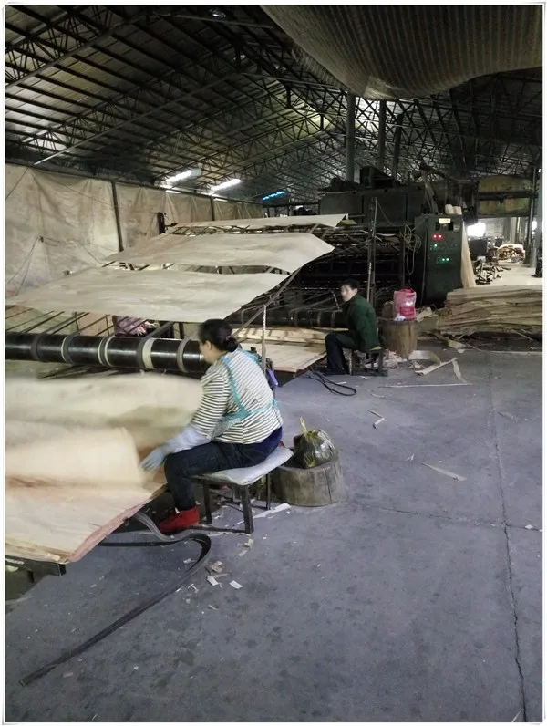 plywood face veneer /okoume wood veneer/veneer brands in india