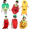 Factory hot sale vegetable costumes for kids