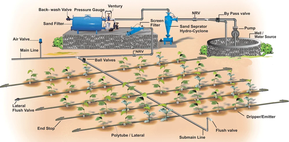 drip irrigation for potato tomato irrigation system