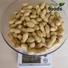 Import Peanut In shell from China shandong