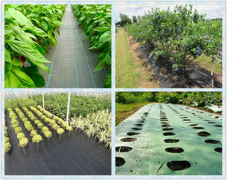 100% PP Woven Agriculture Ground Cover/Mulch Film/Weed Mat