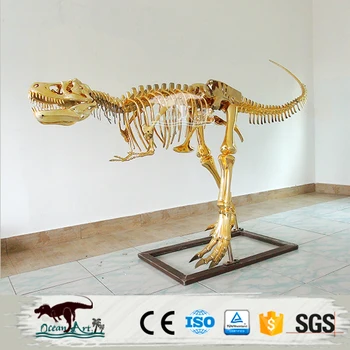 dinosaur skeleton replicas for sale