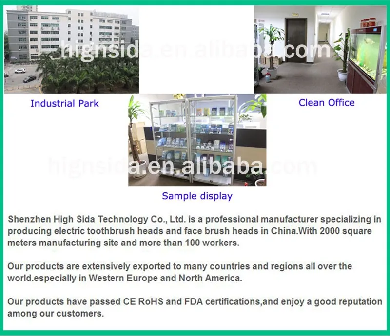 Company Information