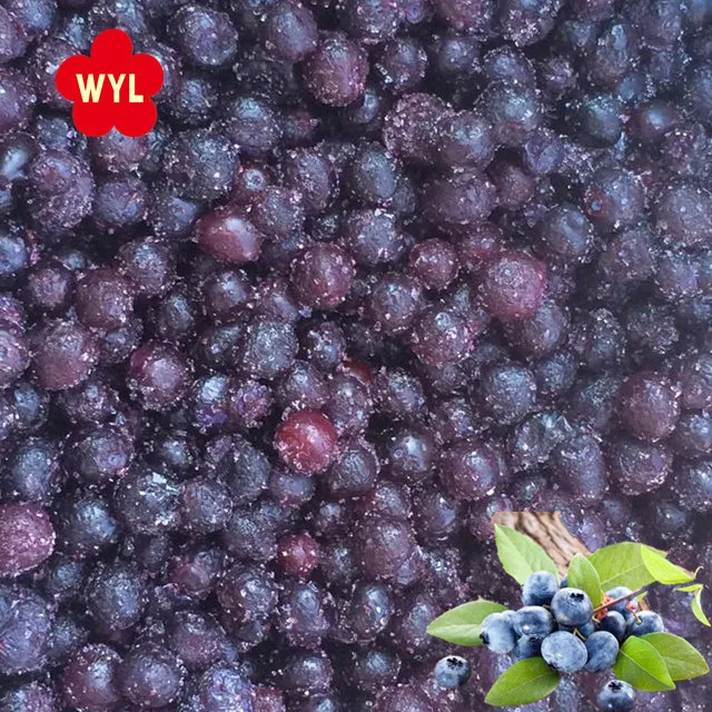 Iqf Frozen Blueberries For Wholesale Buy Iqf Frozen Bluberries With