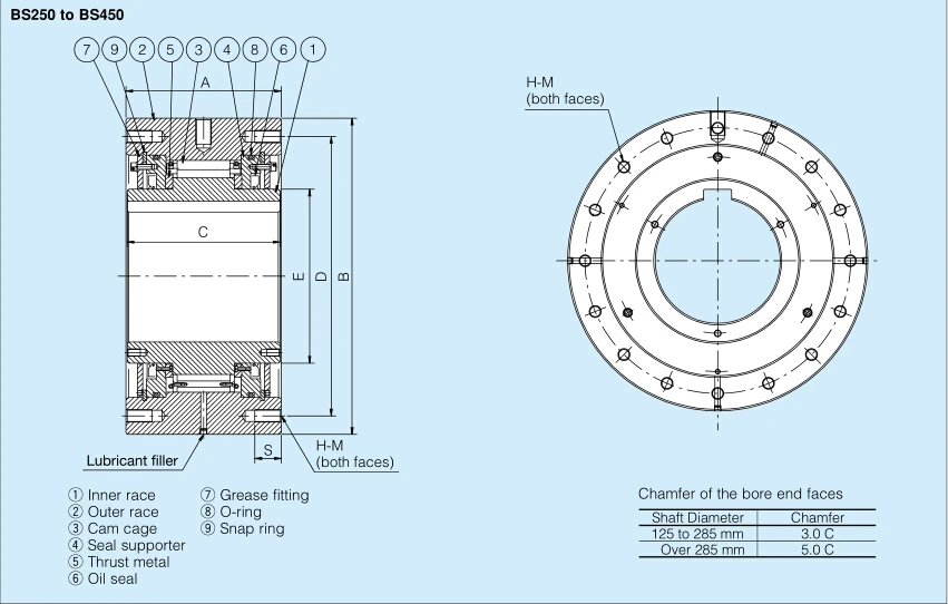 Bs hs. БС 250. Bs250 Datasheet. Подшипник на Айкен МТЕ 250 БС 5,0. PROTECH BS-350ssa ремень ГРМ.