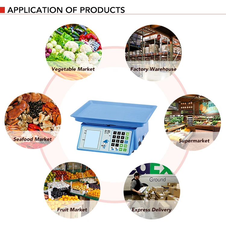 30kg Desktop Weighing Scale - Customized Support & CE Certificate