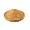 ISO Good Supplier Pure Natural Red Ginseng Root Powder 80 mesh