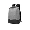 2019 New Arrival Silver Colour Polyester Ant Fleece Backpack with USB Port