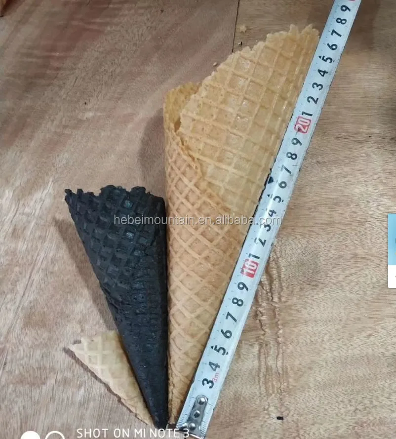 Big cone,.JPG