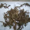 Ou ya shui long gu Polypodium vulgare roots chinese herbs for fertility