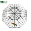 Quality Chinese Products 23Inch Auto Open Photo Bird Print Apollo Transparent Umbrella