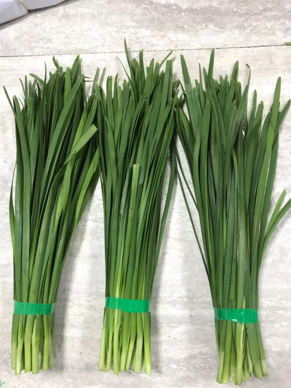 200g X 50 In 10kg Box Chinese Green Fresh Chives Good Quality - Buy ...