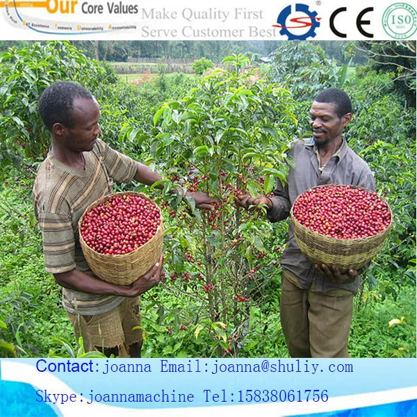 Coffee Beans Picker Machine Bean Harvester Coffee Beans Picker Machine Bean Harvester Grinding Product On Alibaba