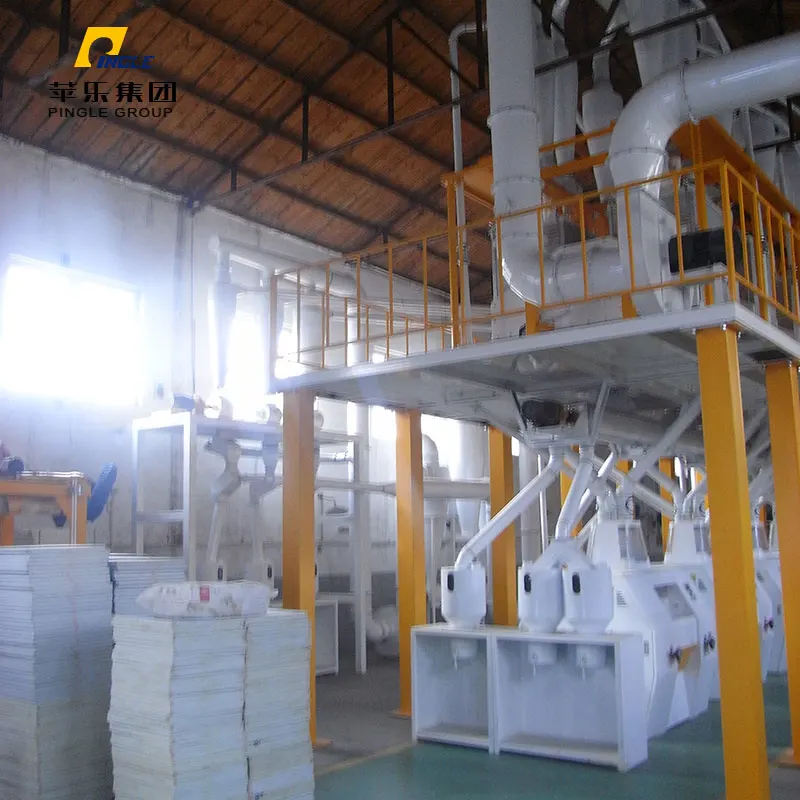 100TPD-Maize-Milling-Plant-in-Tanzania1