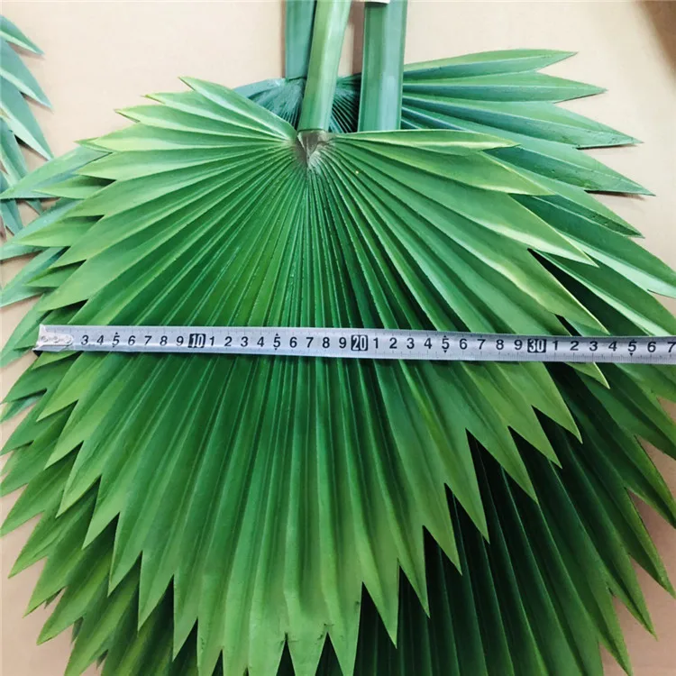 palm tree leaves (16).jpg